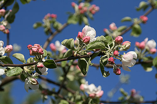 Dla kogo jest terapia